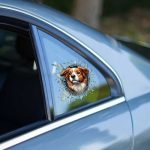 Fulcar Australian Shepherd Araç Stickerı - Görsel 3