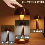 Dekoratif Led Masa Lambası 3 Renk Modlu - Görsel 2