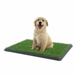 Köpek Tuvalet Eğitim Seti - Görsel 3