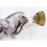 Kedi Nanesi (Catnip) Oyun Topu - Görsel 3