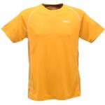 Regatta Elixir Erkek T-Shirt-SARI