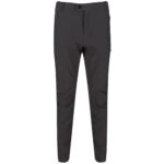 Regatta Highton Trouser Trekking Erkek Pantolon-GRİ