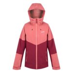 Regatta Wentwood IX 3in1 Kadın Mont-BORDO